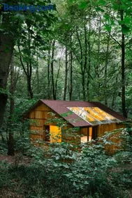 OCHYS Waldfreizeitpark - Image 2
