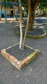 Chácara Arpoador - Image 3