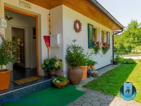 Vali's Paradise - Image 1