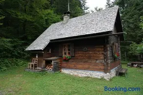 Almhütte Groß Frondell - Image 2