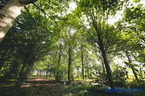 Fuoricittà - Image 2