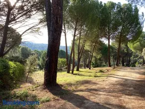 Casa Valdesanmartin - Country House, 10500sqm, Pool, Paddel & Bbq - Image 3
