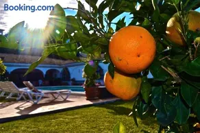 CASA MICHAEL - El Paraiso, Marbella - Image 3