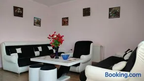 Domaćinsvo Stević - Sekurič - Image 3