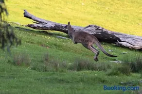 Serena Cottages Beechworth - Your Country Getaway - 1 - Image 3