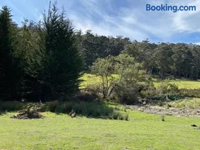 Little Pardalote Tiny Home Bruny Island - Image 4