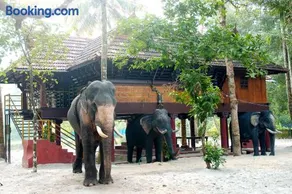 Elephant Courtyard- A Heritage Homestay - Image 1