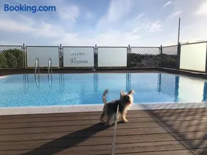 Pet Hotel Virginia - Hotel per cani - Image 5