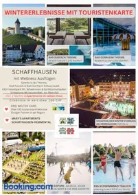 MARYS family friendly Apartments,VISIT RHINE FALLS for FREE if you stay 2 nights, SOHO 95m2 2-Bedrooms 2nd floor & SOUTH BEACH 105m2 3-Bedrooms & LOFT 115m2 3-Bedrooms Suite with Galerie,LOFT Netz 20m2, Pinball, Schaffhausen-Hemmental, Rheinfall 10 km - Image 4