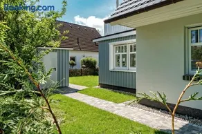 Stine - Image 2