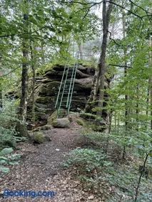 SeeHausLuwiRoyal - Image 5