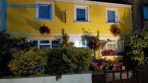 Globe Guesthouse - Image 2