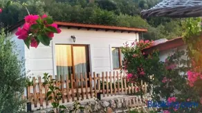 KAVURLUKOZ KaraburuN - Image 5