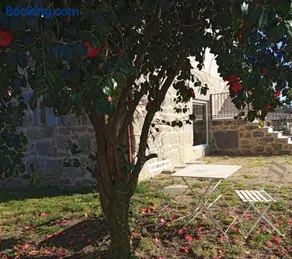 Loft con bañera, donde la ciudad es naturaleza - Image 2