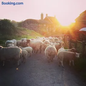 Kilsham Farm - Image 3
