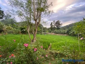 Diyaluma Villa Resort - Image 1