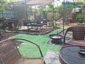 Cactus house - Image 1