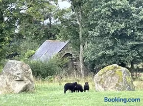 Petite Maison a 20mins de la Mer et de l'Ile de Brehat avec Menhirs et Moutons Ouessant - Image 2