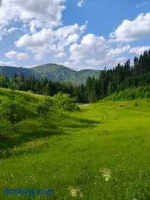 Oaza mira Zlatarsko jezero - Image 5