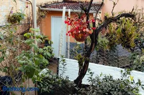 Recanto D'Carvalho - Image 3