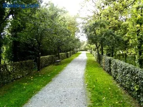 Die Gönothek - Ferienwohnungen - Image 4