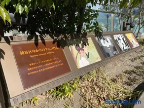 大泉学園ヴィラーアニメーションの起源地にある日本の日常が体験できるまるまる貸切一軒家 - Image 4