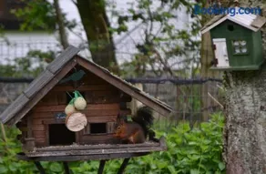 A la ferme du Pere Eugene - Image 1