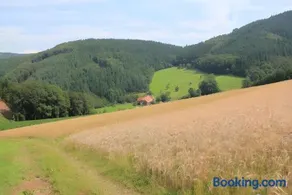 Geigerbauernhof - Image 3