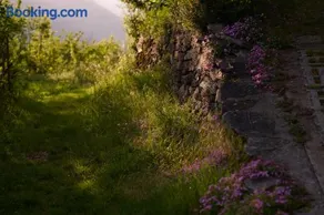 Appartement de vacances entièrement équipé avec barbecue et jardin - Image 3