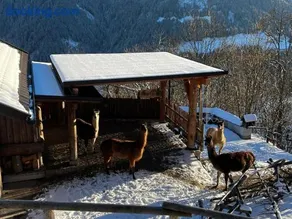 Apartment Alex Ski Parkplatz Winterurlaub - Image 3