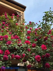 Hotel "Tbilisi Tales" in the heart of the Old City - Image 3