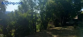 tatou - Image 5
