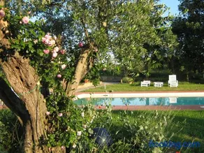 Agriturismo Poderino - Image 2