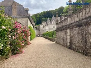 Gîte tout inclus avec jardin, clim, Wifi, proche Château de Villandry et Loire à vélo - FR-1-381-587 - Image 4