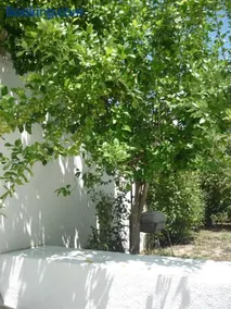 Casa da Terra - Image 1