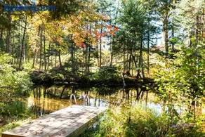 Chalet nature avec ruisseau, ilot prive - Image 2
