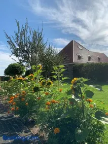 Beautiful holiday home in Schagerbrug - Image 2