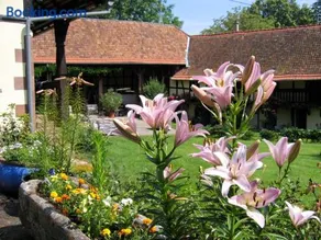 Le gîte des écureuils - Image 1