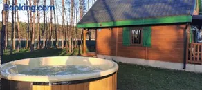 Domek na Mazurach w zagajniku przy jeziorze - Image 1