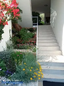 Apartments Kule - Image 2