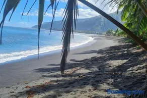 Taharu'u Guest House By The Beach - Image 3