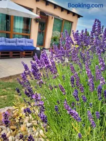 Lavanda Garden Apartment - Image 4