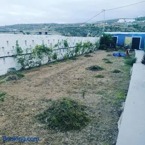 Yurta de Arico - Image 4