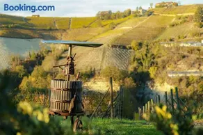 Cadgal - Tenuta Valdivilla - Image 4