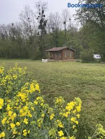 Le domaine des oiseaux - Image 2