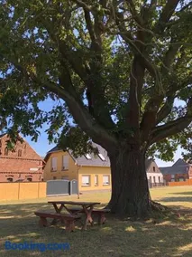 Ferienhaus zur Eiche am Dorfanger - Image 3