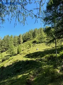 Grossbergblick - Image 4