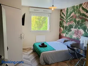 New studio near ARENA - Image 1