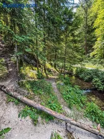 Rocky Meadow - Place for camping - Image 1