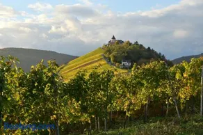 Weingut Rosenbaum - Image 2